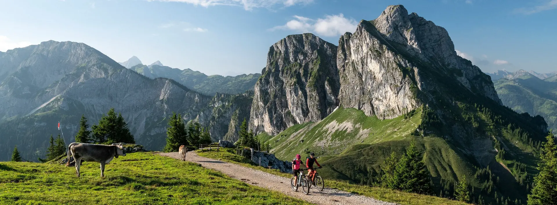 Mountainbiken in den Alpen in Pfronten im Allgäu 