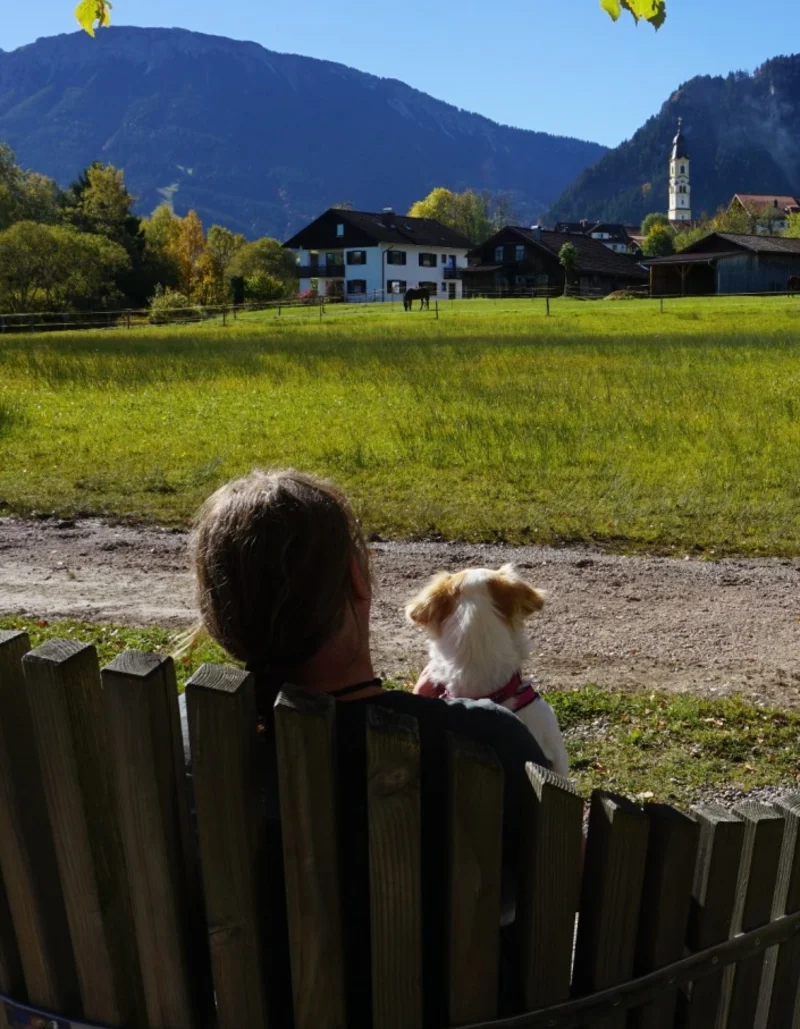 Eine Person sitzt mit ihrem Hund auf einer Bank und genießt die Aussicht auf grüne Wiesen, den Pfrontener Ortskern und die Bergkulisse.
