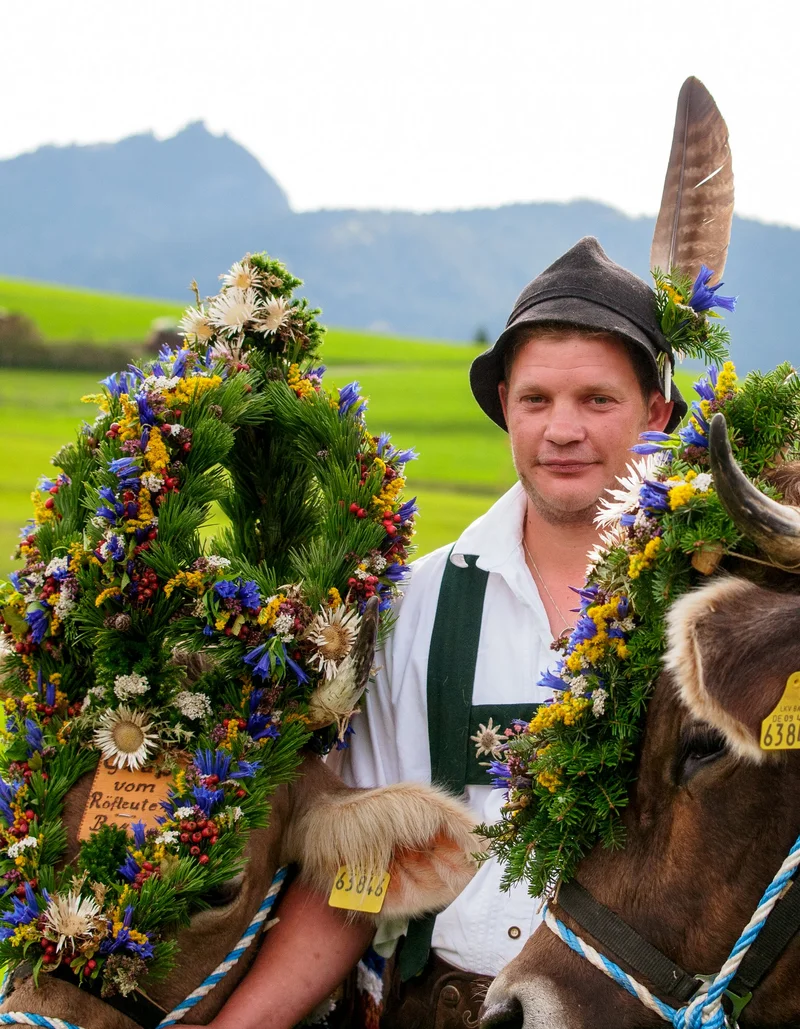 Kranzrinder in Pfronten-Röfleuten.