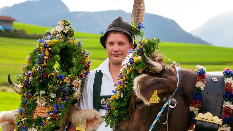 Kranzrinder in Pfronten-Röfleuten 