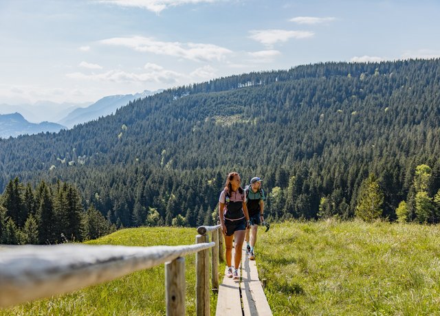 Wanderer wandern am Edelsberg