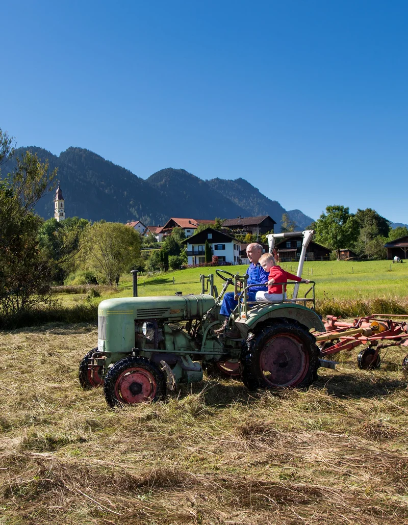 Ein Traktor auf einer Wiese im Pfrontener Tal.