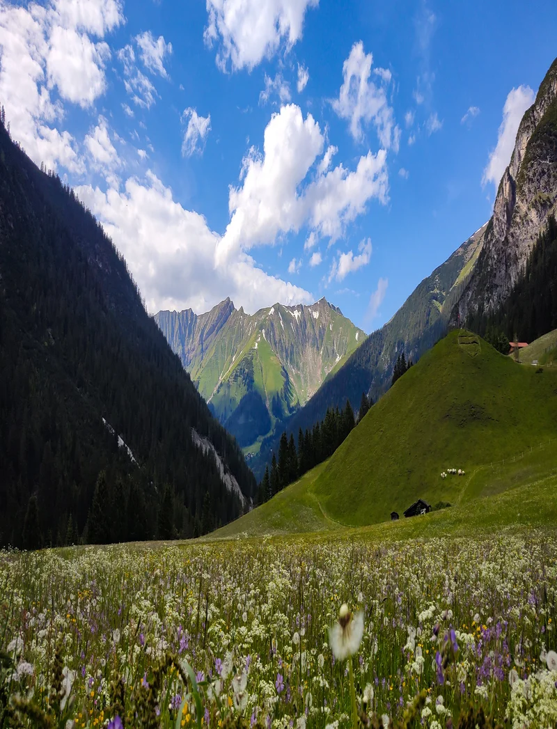 E - Bike Alpenüberquerung Pfronten - Meran Frühlingshafter Blick auf eine bunte Wiese mit tollem Bergpanorama.