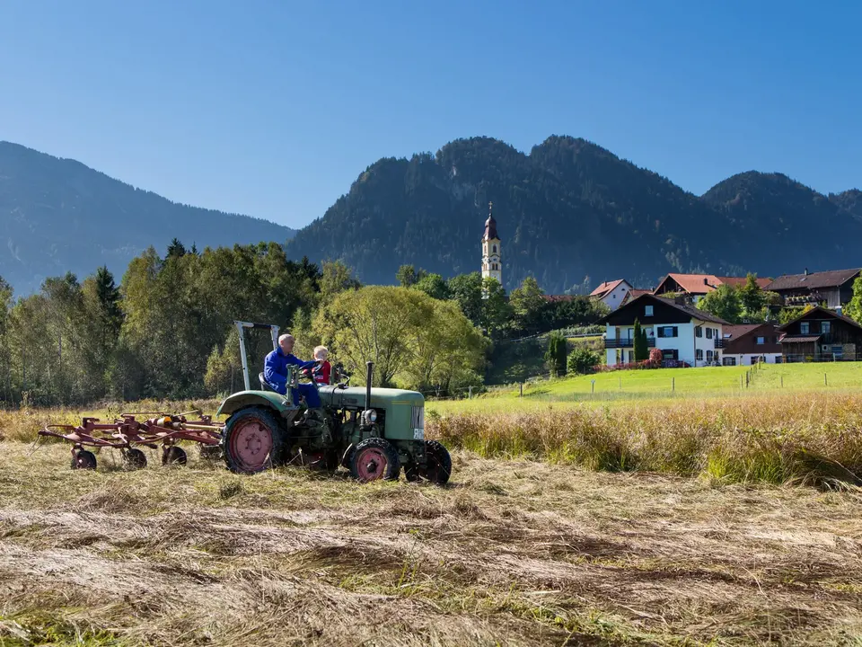 Wiese im Pfrontener Tal