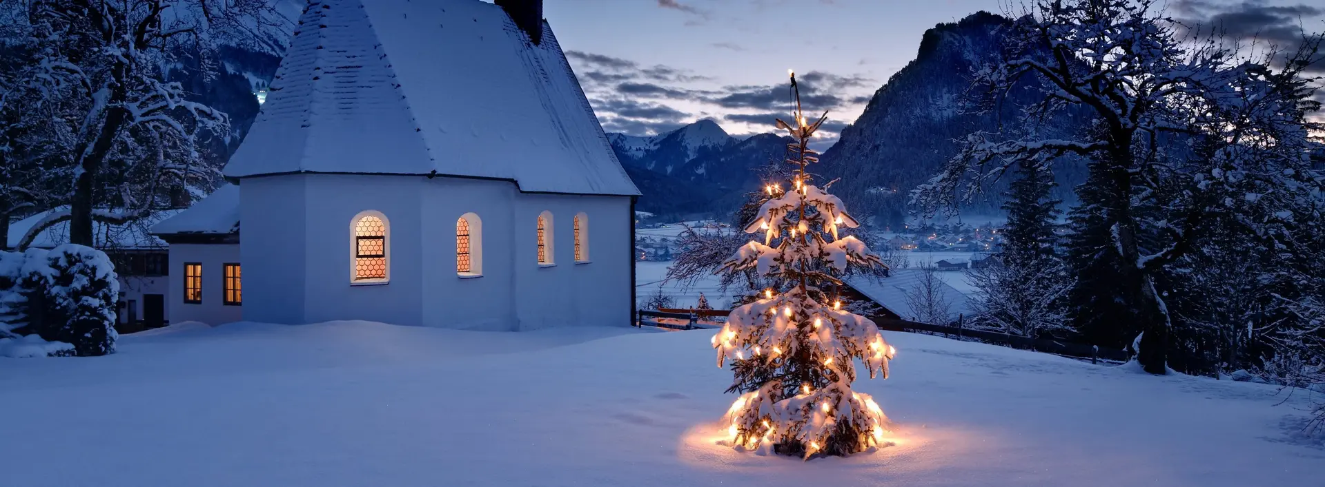 Christbaum im verschneiten Pfronten Meilingen 