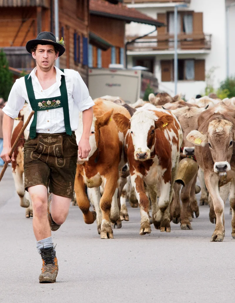 Die Viehscheid in Pfronten-Röfleuten.