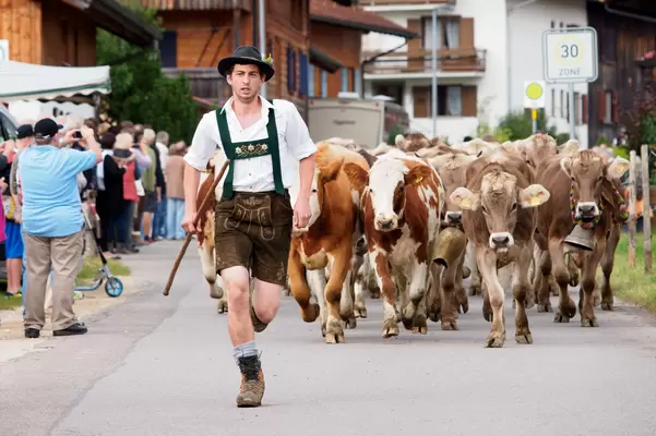 Die Viehscheid in Pfronten-Röfleuten.