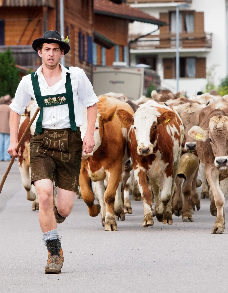 Die Viehscheid in Pfronten-Röfleuten.