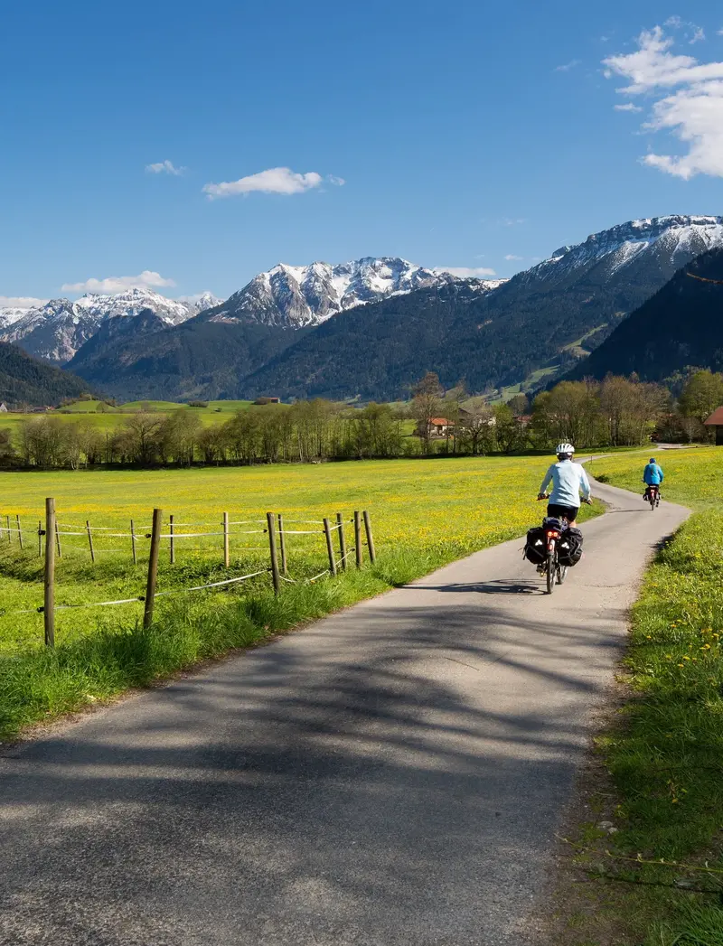 Radfahrer auf einem Radweg mit frühlingshaftem Blick auf grüne Wiesen und weiße Berggipfel.