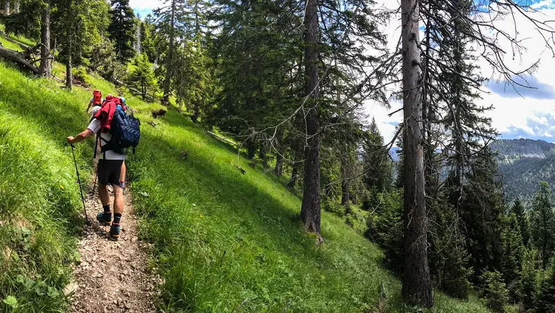 Wanderer auf einem schmalen Bergpfad, im Hintergrund Bäume sowie die Bergkulisse.