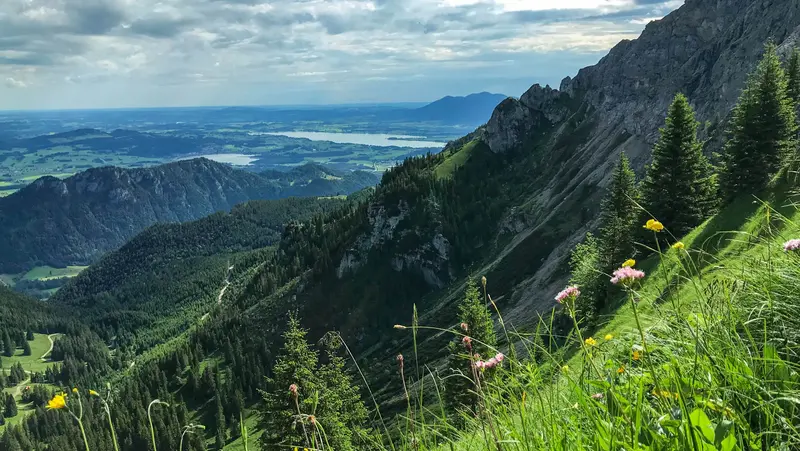 Frühlingshafte Bergwiese mit Sicht auf die sonnige Berglandschaft.