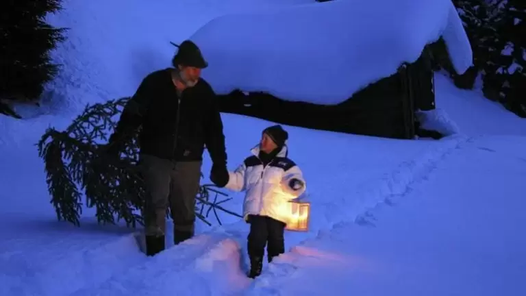 Christbaum selber fällen im Allgäu