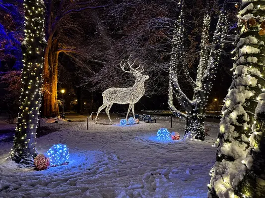 Lichtinstallation Lichterglanz im Pfrontener Kurpark