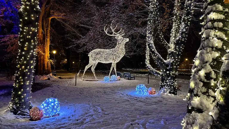 Lichtinstallation Lichterglanz im Pfrontener Kurpark