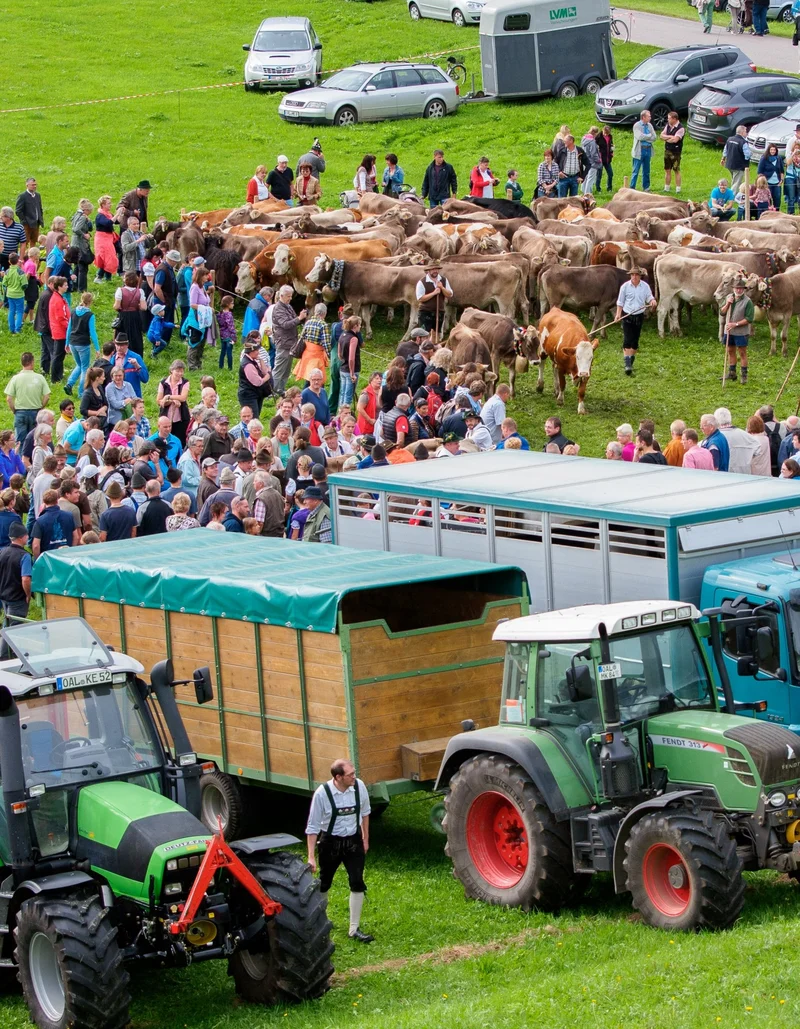 Buntes Treiben auf der Viehscheid in Pfronten-Röfleuten.