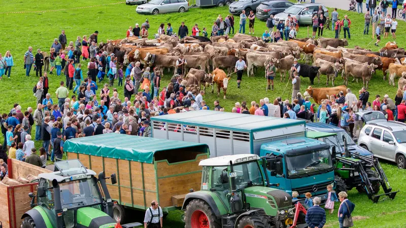 Buntes Treiben auf der Viehscheid in Pfronten Röfleuten