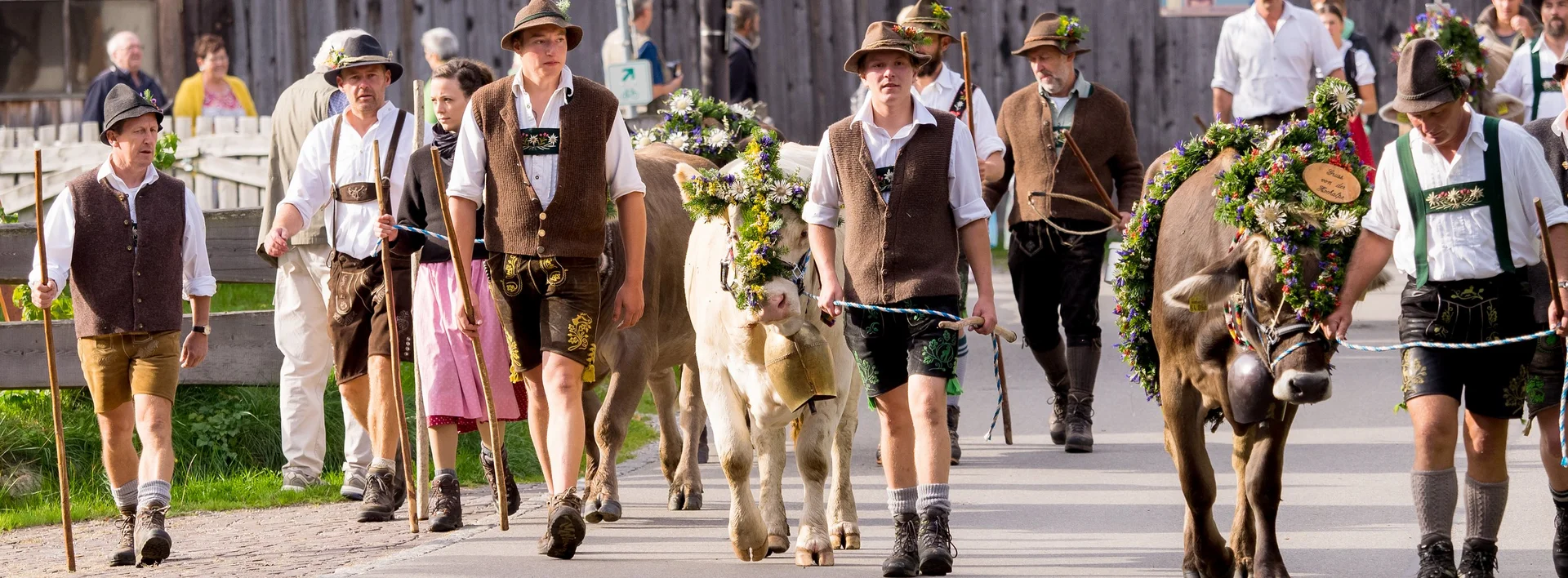 Mehrere Alphirten mit Kranzrindern bei der Viehscheid in Pfronten im Allgäu.