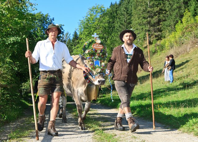 Hirten führen Ihr Vieh ins Pfrontener Tal