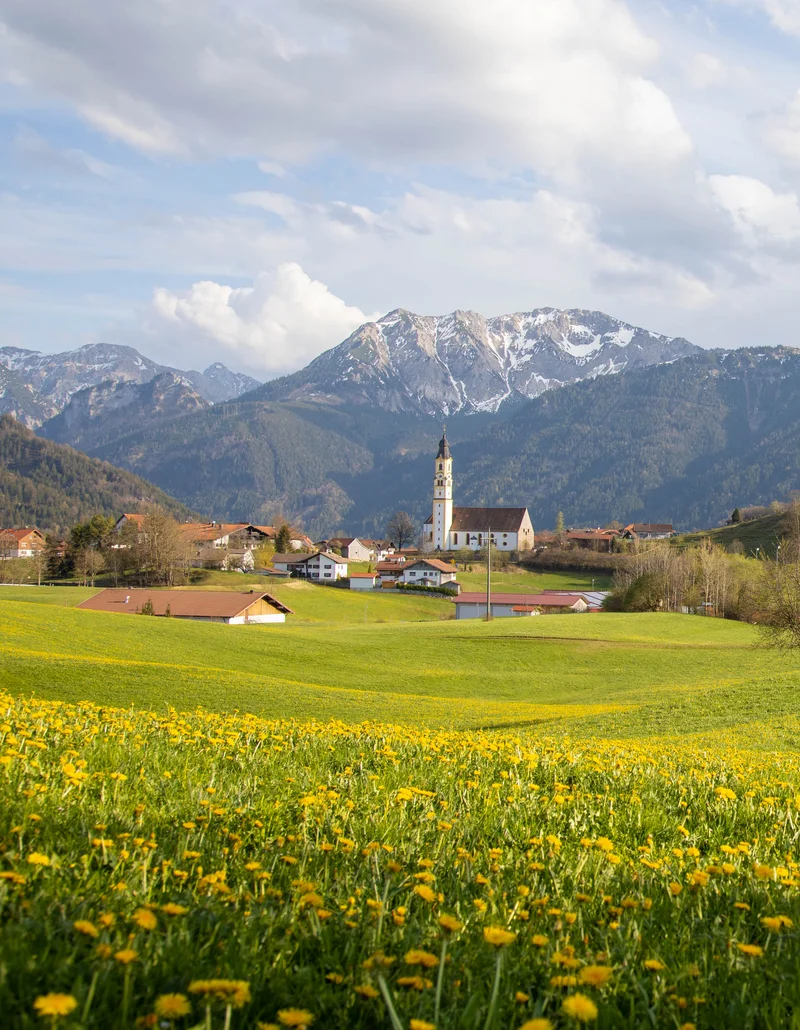 Sonniger Panoramablick auf eine grüne Wiesenlandschaft in Pfronten.