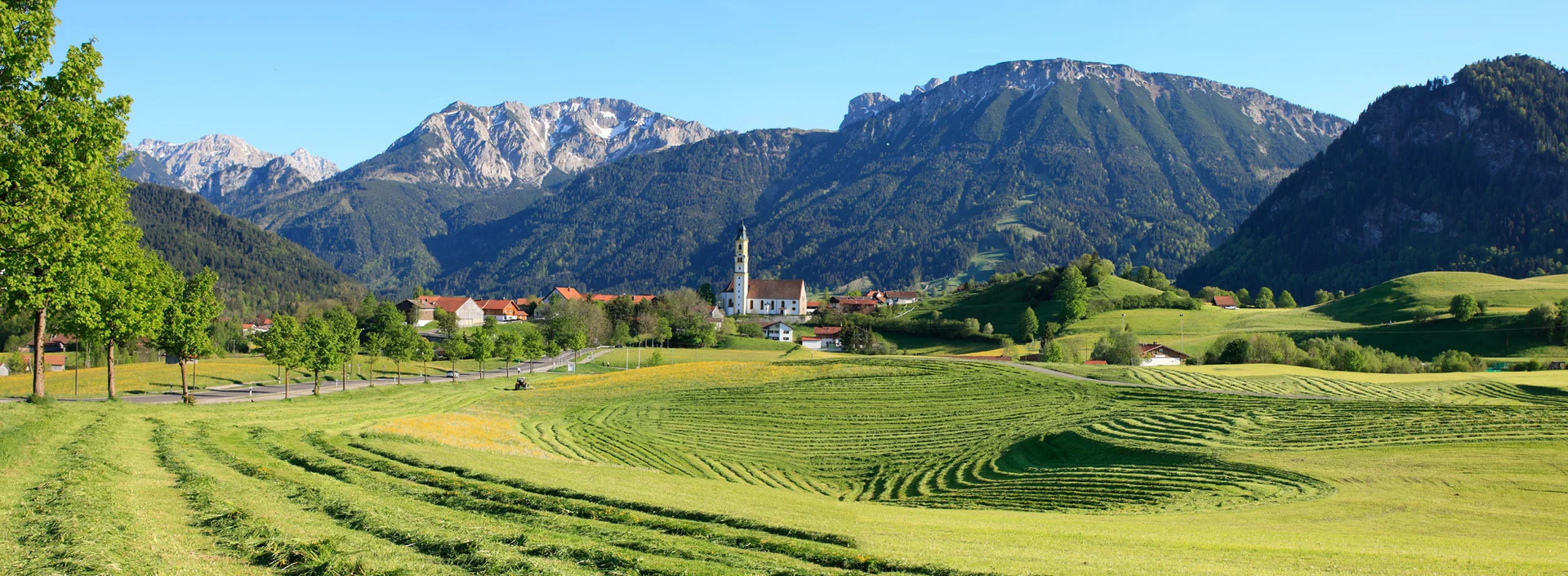Blick auf die Pfarrkirche St. Nikolaus über gemähte Wiesen.