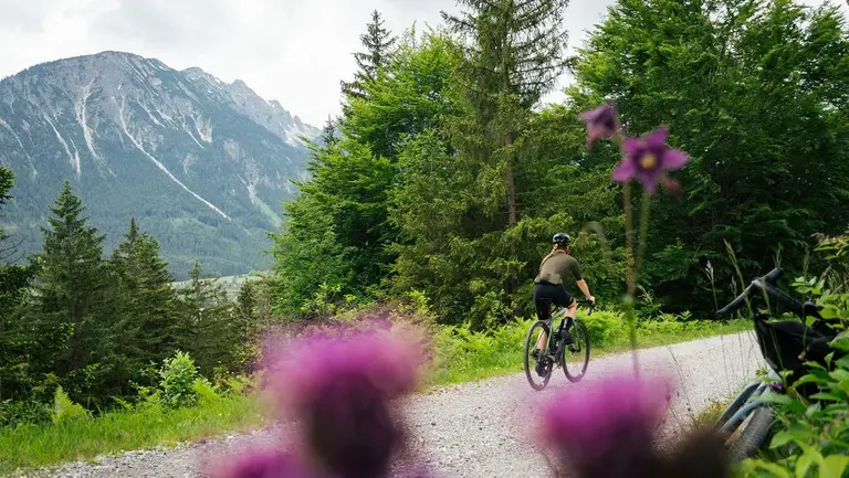 Gravel-Biken auf einem Forstweg in den Allgäuer Bergen 