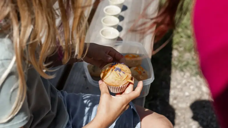 Kind sitzt auf einer Holzbank und hält einen Muffin mit essbaren Blüten in der Hand.