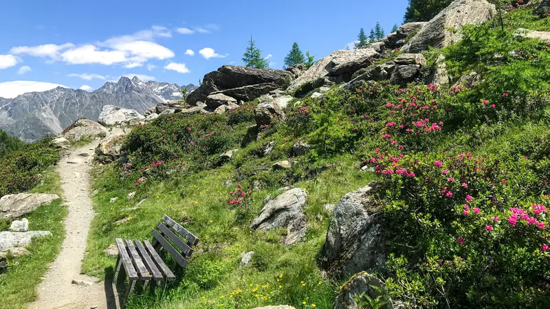 Wanderweg mit frühlingshaft grünen Bergwiesen und einer beeindruckenden Bergkulisse im Hintergrund.
