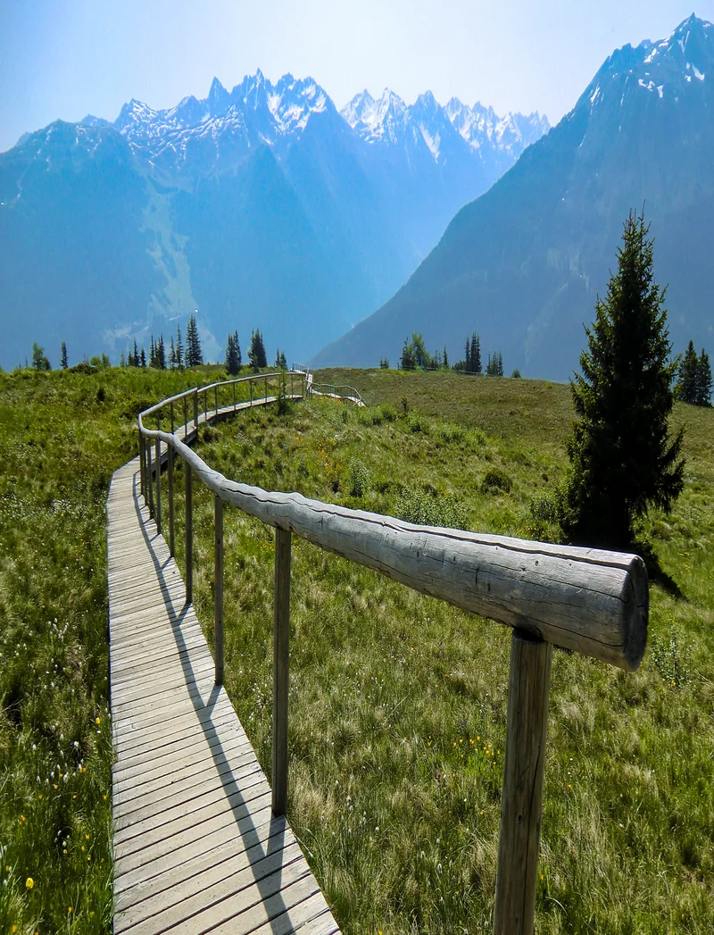 die neue Alpenüberquerung von Pfronten nach Meran Ein Holzpfad führt durch grüne Bergwiesen, mit einer beeindruckenden Berglandschaft im Hintergrund.