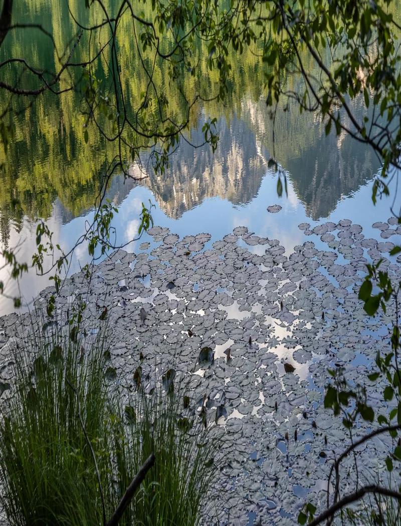 Der idyllische Bergsee Alatsee im Allgäu.