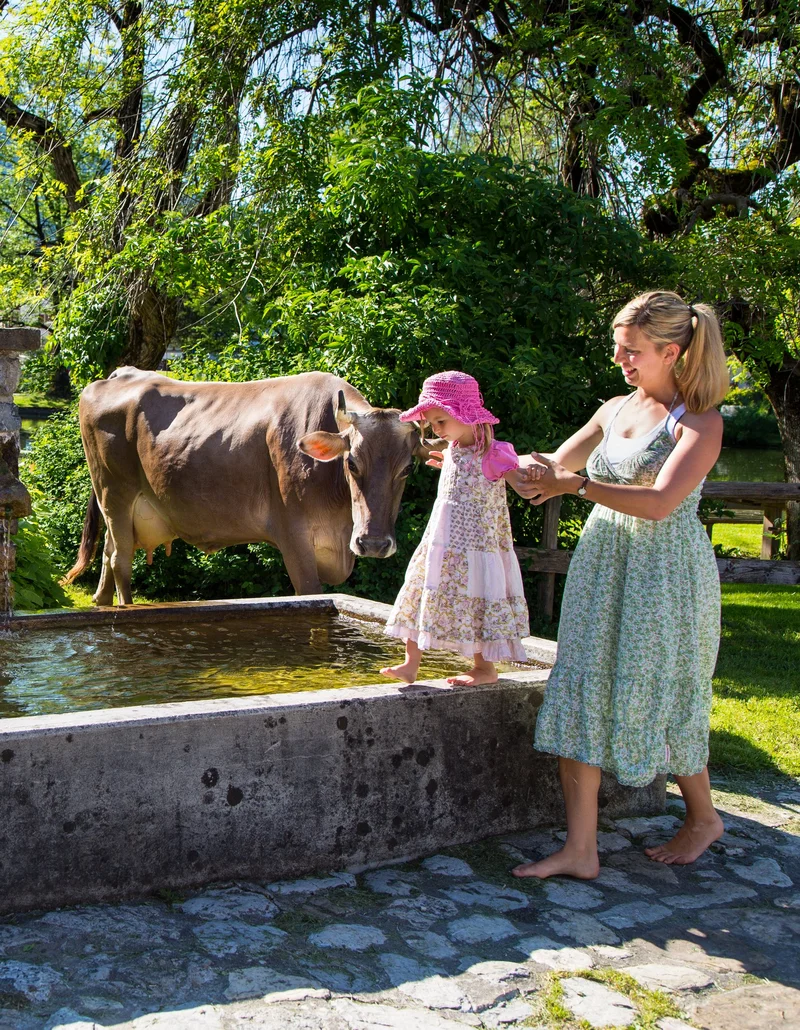 Eine Familie an einem Brunnen, aus dem Kühe trinken.