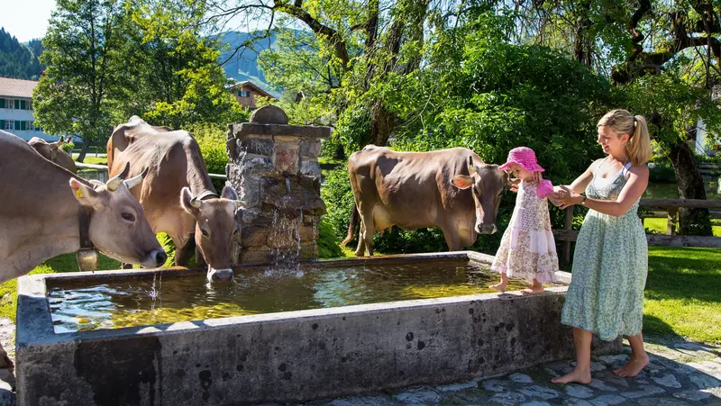 Urlaub auf dem Bauernhof mit der Familie