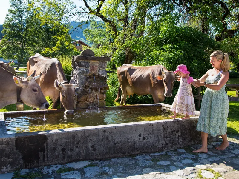 Urlaub auf dem Bauernhof mit der Familie