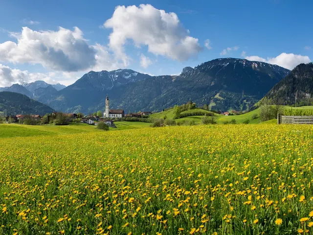 Sommerliche Löwenzahnwiese mit Panoramablick und beeindruckender Bergkulisse.