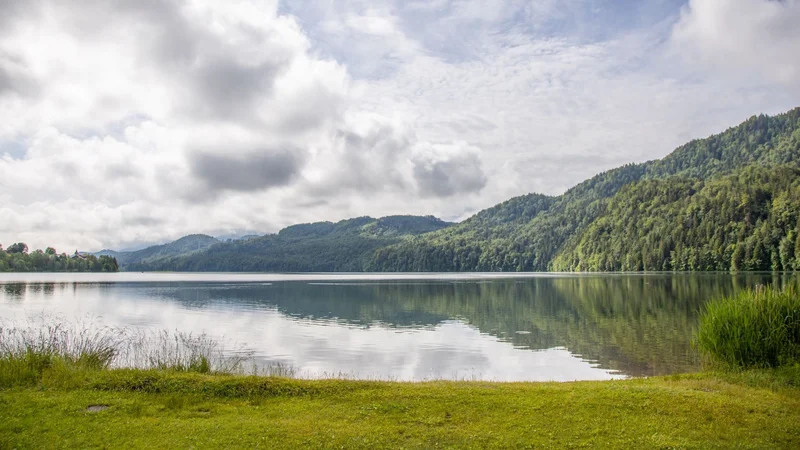 Der Weißensee mit großzügiger Liegewiese.