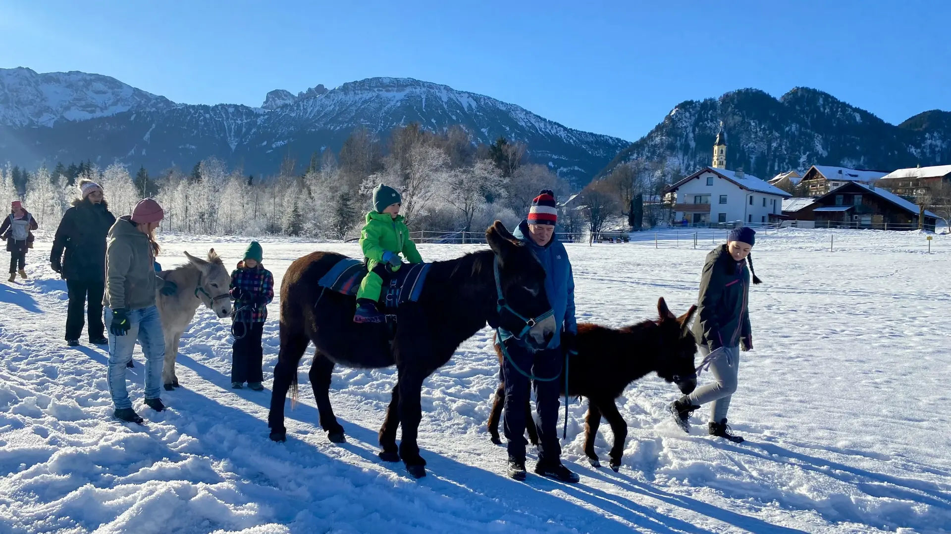 Eselwandern in Pfronten im Allgäu