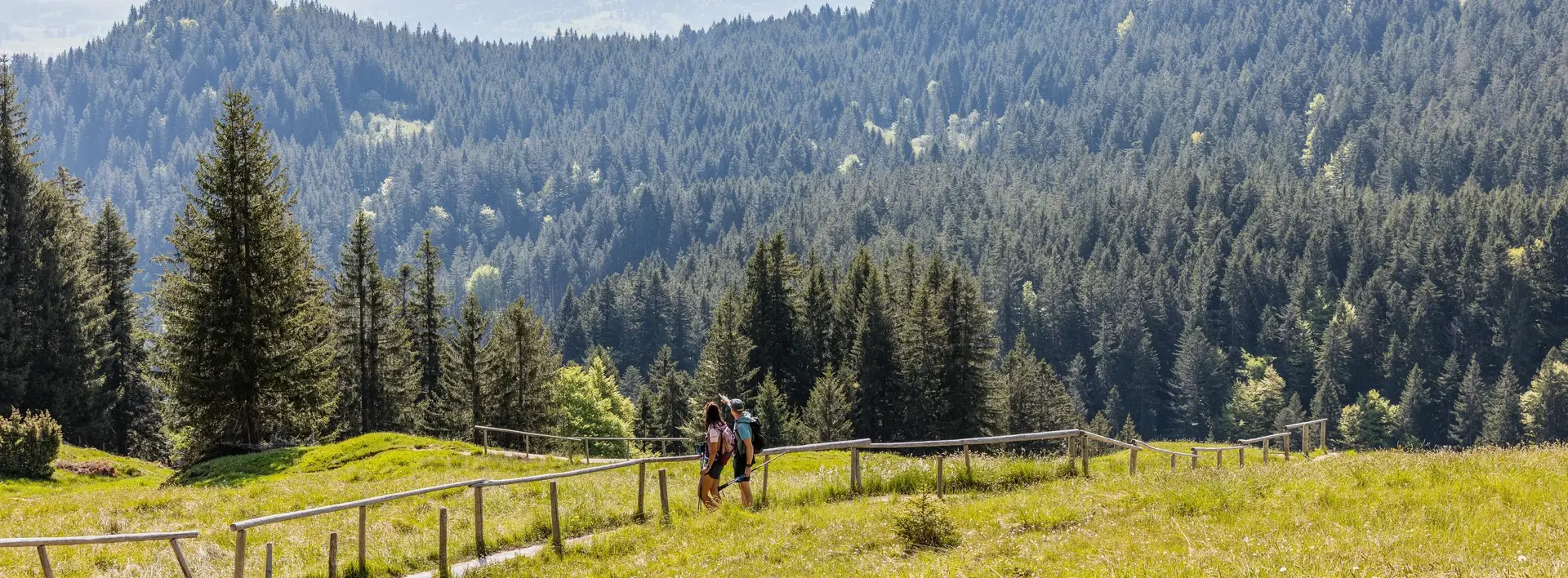 Die abwechslungsreiche Bergwelt in Pfronten entdecken.