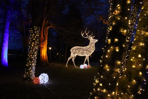 Lichterglanz Pfronten - eine Lichtinstallation im Pfrontener Kurpark 