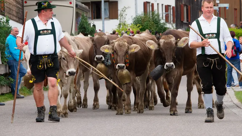 kleine Viehscheid in Pfronten-Röfleuten 