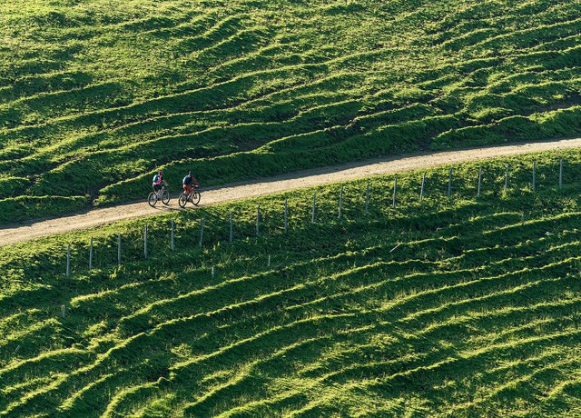 Zwei Mountainbiker fahren auf einem Weg inmitten grüner Allgäuer Wiesen.