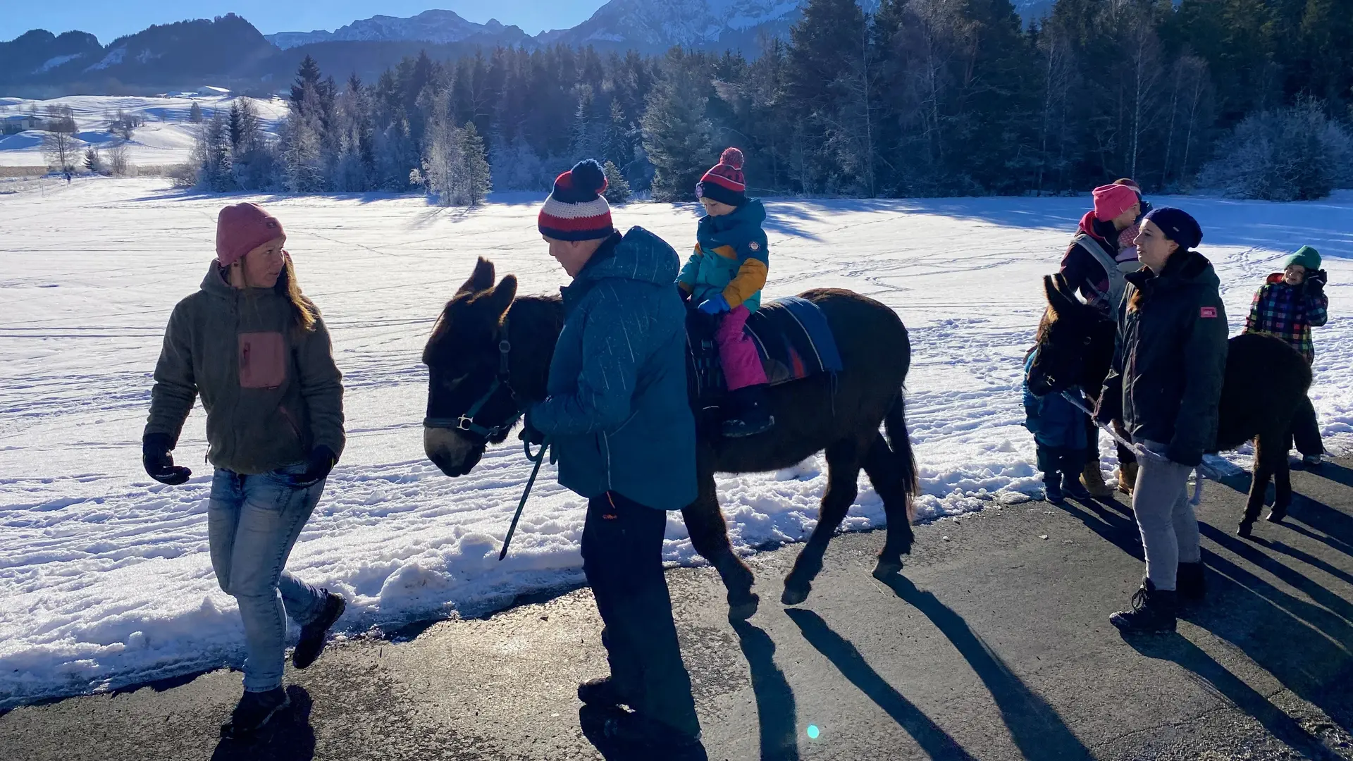 Eselwandern in Pfronten im Allgäu