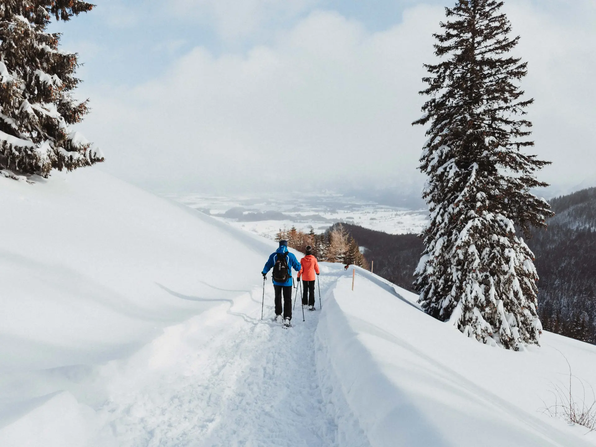 Schneeschuhwanderer in einer winterlichen Landschaft.