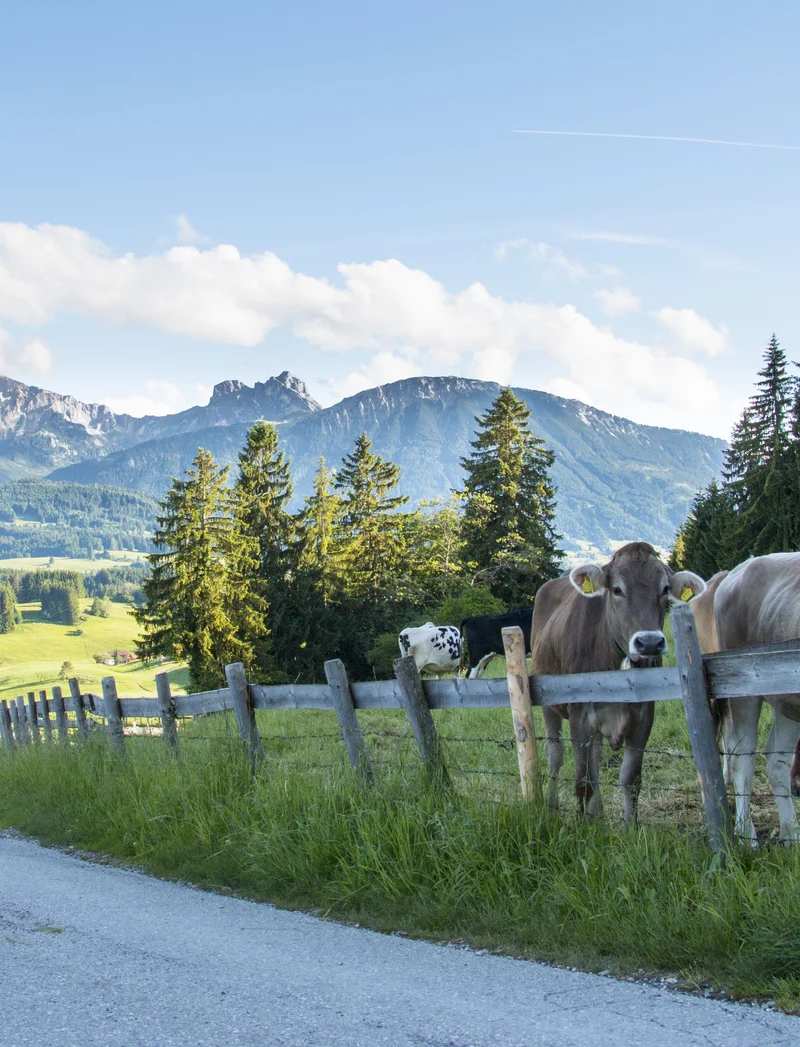 Kleine Burgenrunde zu den Zwillingsruinen