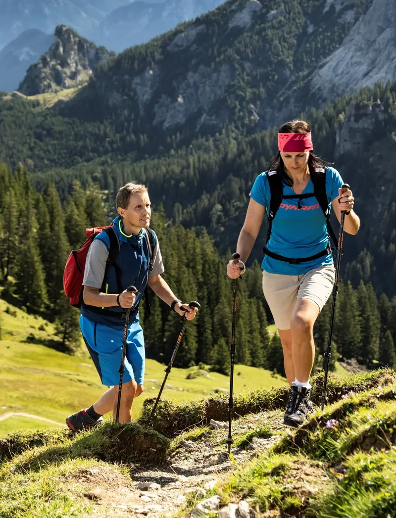 Wanderer in einer grünen Landschaft mit toller Bergkulisse.