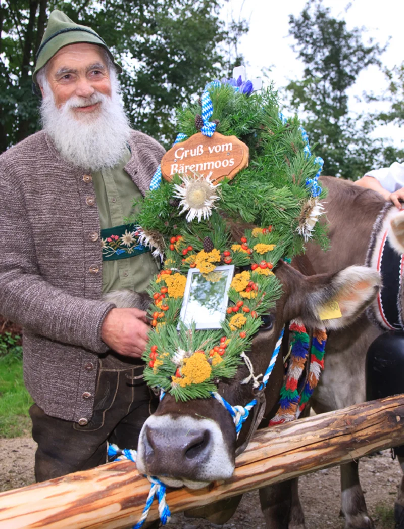 Allgäuer Kranzrind von der Bärenmoos.