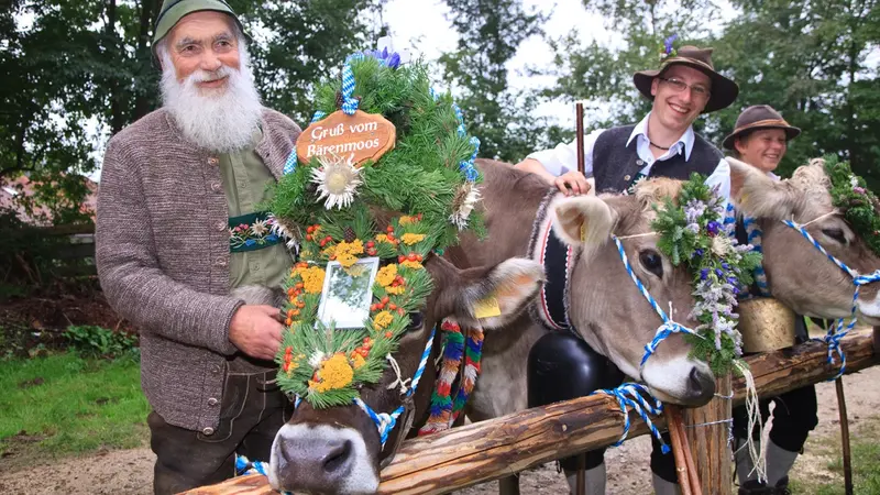 Allgäuer Kranzrind von der Bärenmoos