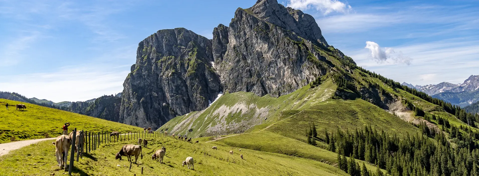 Blick über sommerliche Bergwiesen und auf markante Berggipfel.