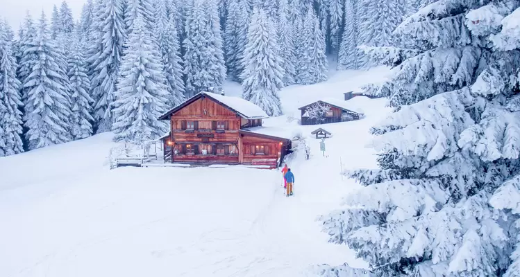 Geführte Schneeschuhwanderungen in Pfronten im Allgäu. 