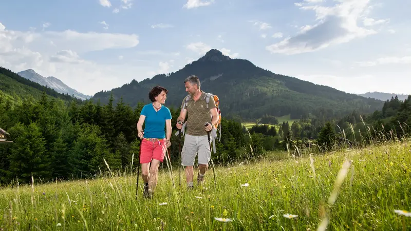 Wanderungen über grüne Bergwiesen in Pfronten