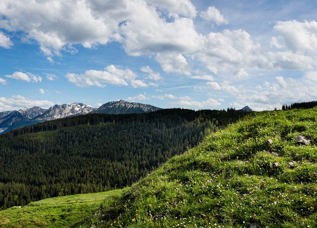 Beeindruckendes Panorama von der Kappeler Alp mit Gipfelkreuz.