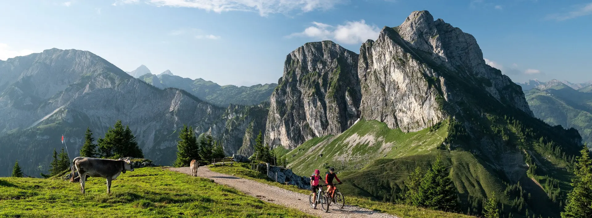 Mountainbiken in den Alpen in Pfronten im Allgäu 
